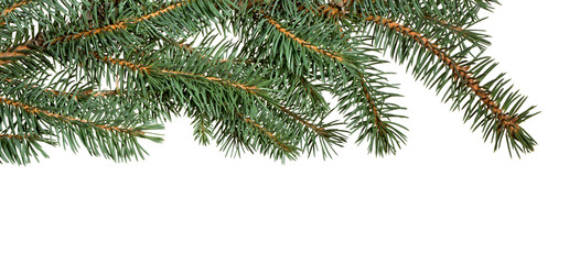 Similar image 21218268