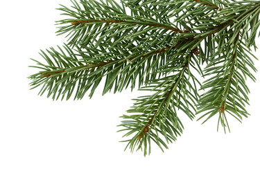 Similar image 21218272