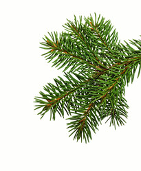 Similar image 21218281