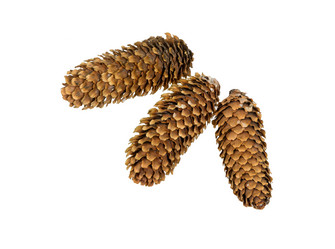 Similar image 21218285