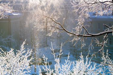 Similar image 21217565