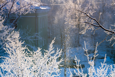 Similar image 21215603