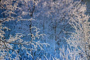 Similar image 21217566