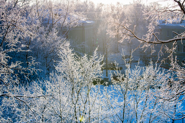 Similar image 21215604