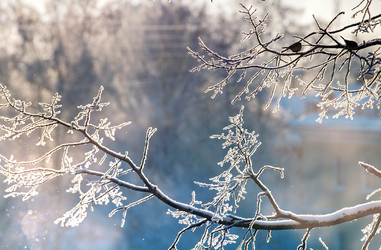 Similar image 21217567