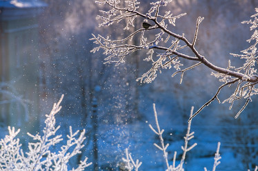 Similar image 21217568