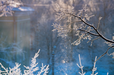 Similar image 21215605