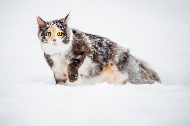 Similar image 21215607