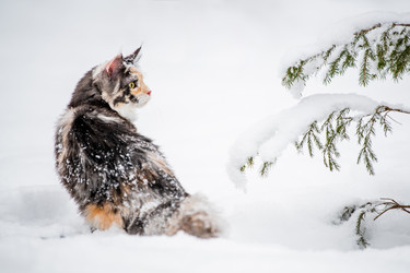 Similar image 21215608