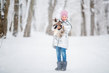 Similar image 21217569