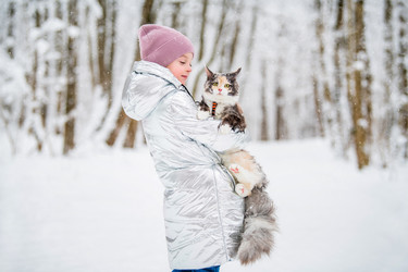 Similar image 21222321