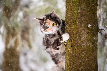 Similar image 21217576