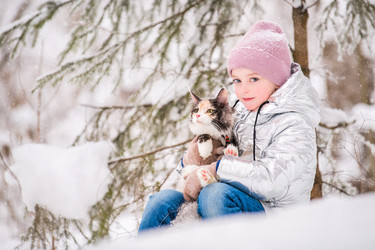 Similar image 21219599