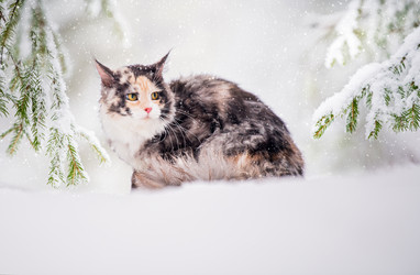 Similar image 21215611