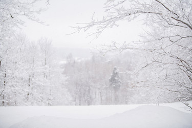 Similar image 21215613