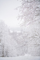 Similar image 21215616