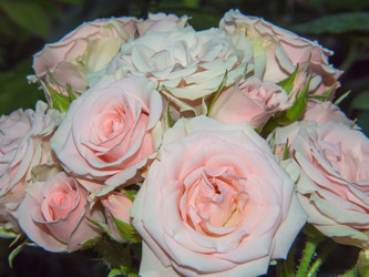 Similar image 21221845