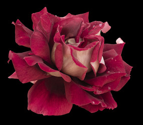 Similar image 21221943