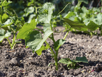 Similar image 21221945