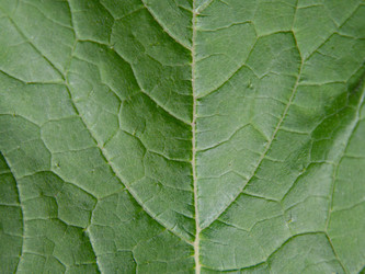 Similar image 21221947