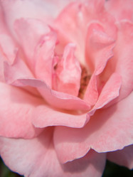 Similar image 21221948