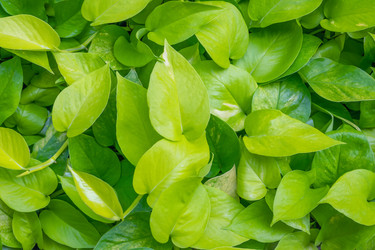 Similar image 21216016