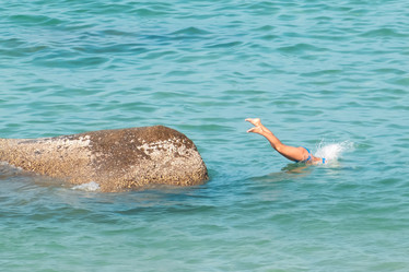 Similar image 21216017