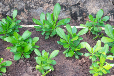 Similar image 21216019