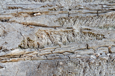 Similar image 21216025