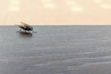 Similar image 21216027