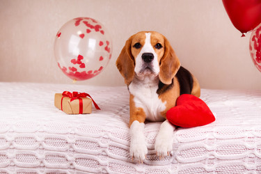 Similar image 21229460