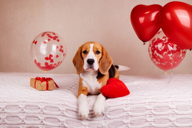 Similar image 21232261