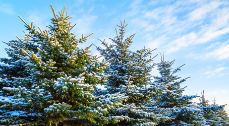 Similar image 21218290