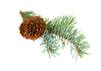 Similar image 21218313