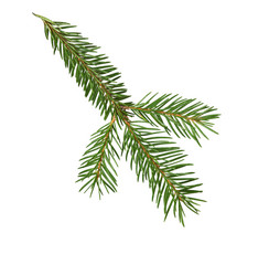 Similar image 21218322