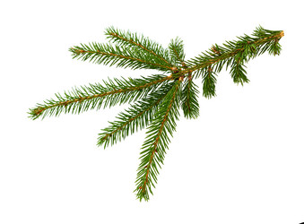 Similar image 21218325