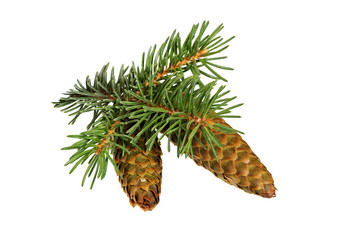 Similar image 21218326