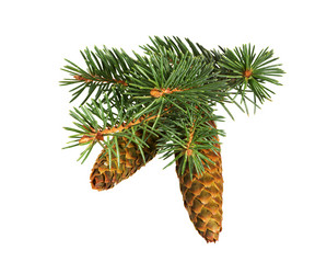 Similar image 21218327