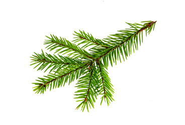 Similar image 21218332