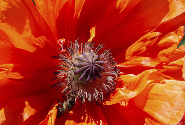 Similar image 21221950