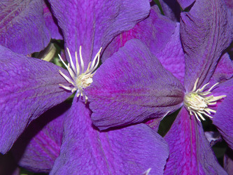 Similar image 21221953