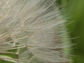 Similar image 21221956