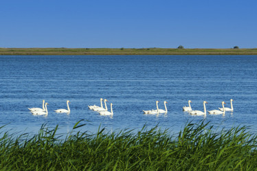 Similar image 21221958