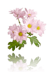 Similar image 21215633