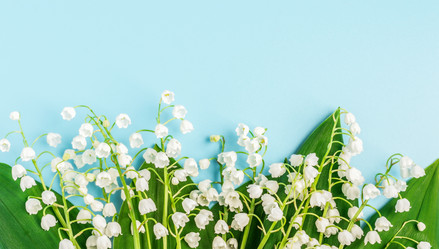 Similar image 21215635