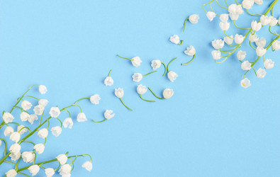 Similar image 21215637