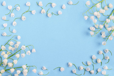 Similar image 21215638