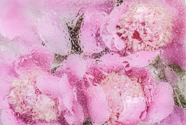 Similar image 21215639