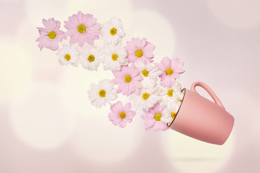 Similar image 21215642