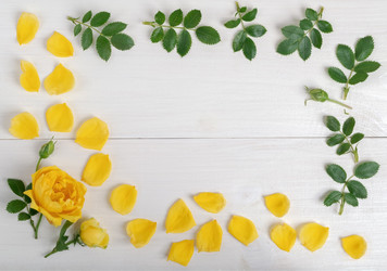 Similar image 21215644